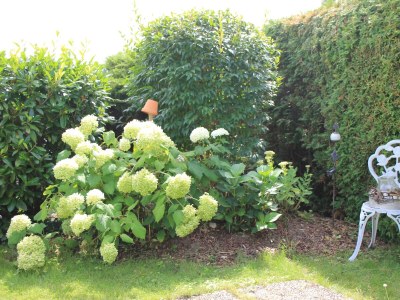 Apartment Fewo Schöner Fernblick - Outdoor photo 7