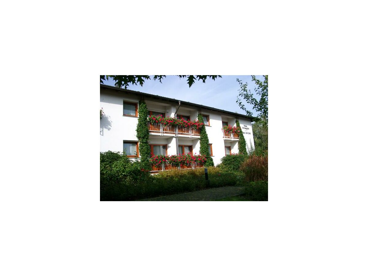 Apartment Appartement (groß) Manus Hunsrück - Features photo 5