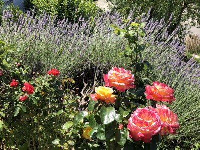 Holiday apartment Al lago - Outdoor photo 3