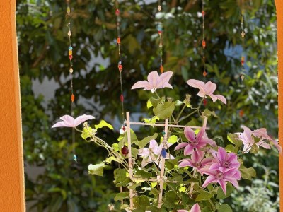 Holiday apartment Al lago - Outdoor photo 6