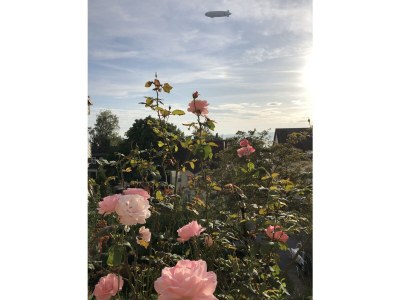 Holiday apartment Al lago - Environment photo 26