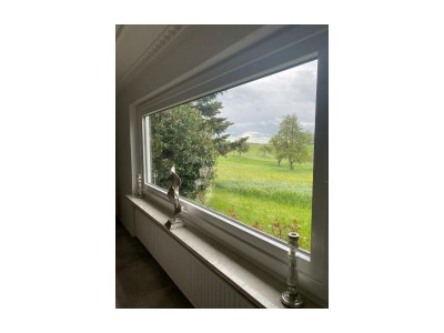 Apartment Ferienwohnung zur Falkenlay - Features photo 35