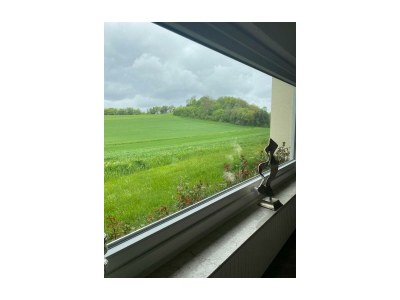 Apartment Ferienwohnung zur Falkenlay - Features photo 36