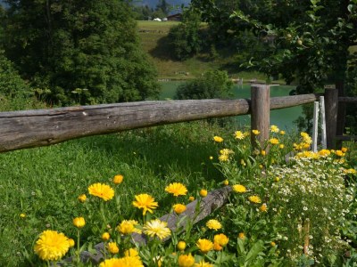 Apartment Masardenwohnung bis 4 Personen - Outdoor photo 14