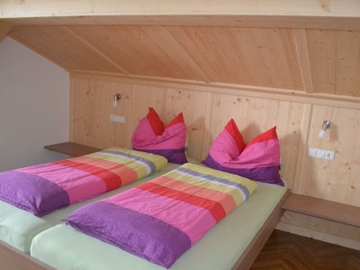 Apartment Masardenwohnung bis 4 Personen - Features photo 63