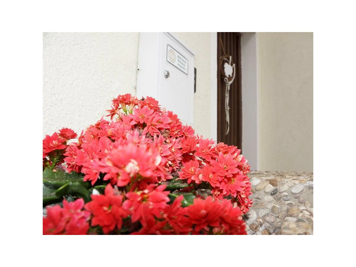 Apartment Appartement/Fewo, Dusche oder Bad, WC 1 Schlafraum - Outdoor photo 2