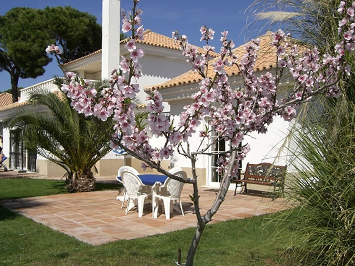 Villa andalusische Golfvilla - Outdoor photo 5