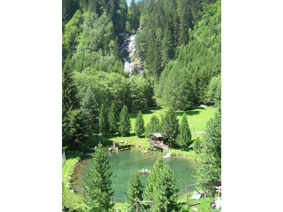 Holiday room Familienzimmer, Dusche, WC, waldseitig - Outdoor photo 3