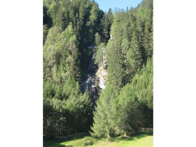 Holiday room Familienzimmer, Dusche, WC, waldseitig - Outdoor photo 17