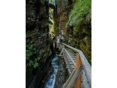 Holiday room Familienzimmer, Dusche, WC, waldseitig - Outdoor photo 22