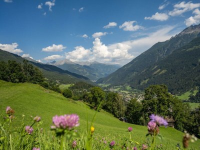 Holiday room Familienzimmer, Dusche, WC, waldseitig - Outdoor photo 23