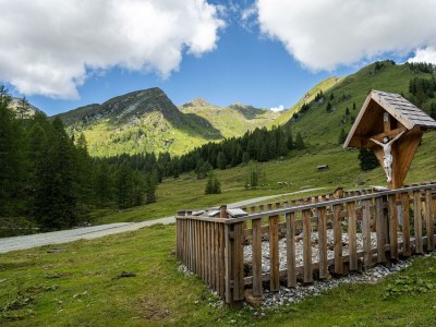Holiday room Familienzimmer, Dusche, WC, waldseitig - Outdoor photo 24