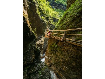 Holiday room Familienzimmer, Dusche, WC, waldseitig - Outdoor photo 26