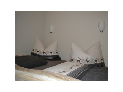 Apartment Appartement -Nr. 1  Dusche/WC, 1 Schlafraum - Features photo 36