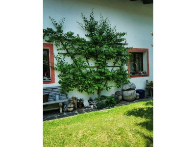 Apartment Ferienwohnung Karwendelglück - Outdoor photo 12