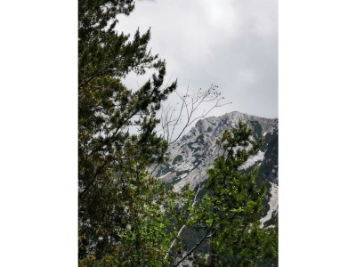 Apartment Ferienwohnung Karwendelglück - Outdoor photo 15