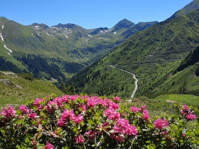 Apartment Appartement/Fewo, Toilette und Bad/Dusche getrennt - Outdoor photo 8