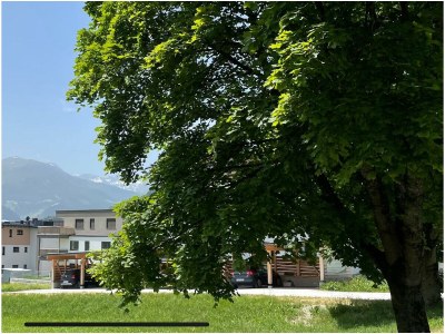 Apartment Appartement/Fewo, Toilette und Bad/Dusche getrennt - Outdoor photo 42