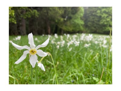 Apartment Appartement/Fewo, Toilette und Bad/Dusche getrennt - Outdoor photo 45