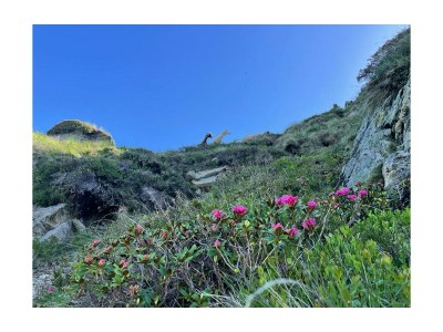 Apartment Appartement/Fewo, Toilette und Bad/Dusche getrennt - Outdoor photo 46