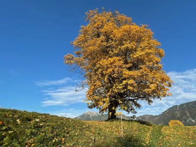 Apartment Appartement/Fewo, Toilette und Bad/Dusche getrennt - Outdoor photo 67