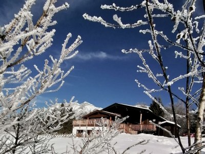 Apartment Apartment Silberwald - Outdoor photo 26