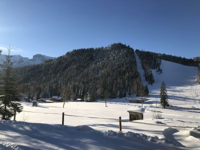 Apartment Apartment Silberwald - Outdoor photo 29