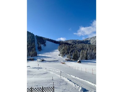 Apartment Apartment Silberwald - Outdoor photo 31