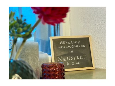 Apartment FeWo im Herzen der Pfalz in Neustadt an der Weinstraße - Apartment