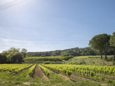 Holiday house Gîte Tresques - Environment photo 23