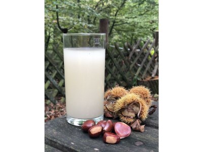 Apartment Appartement/Fewo, Dusche, WC, 1 Schlafraum - Outdoor photo 16