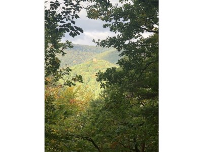 Apartment Appartement/Fewo, Dusche, WC, 1 Schlafraum - Outdoor photo 17