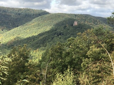 Apartment Appartement/Fewo, Dusche, WC, 1 Schlafraum - Outdoor photo 18