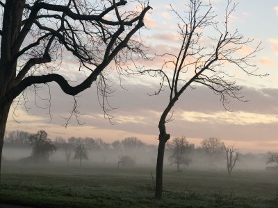 Apartment Appartement/Fewo, Dusche, WC, 1 Schlafraum - Outdoor photo 24
