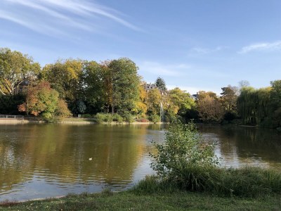 Apartment Appartement/Fewo, Dusche, WC, 1 Schlafraum - Outdoor photo 26