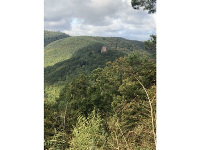 Apartment Appartement/Fewo, Dusche, WC, 1 Schlafraum - Outdoor photo 27