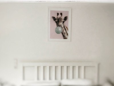 Apartment Appartement/Fewo, Dusche, WC, 1 Schlafraum - Outdoor photo 28