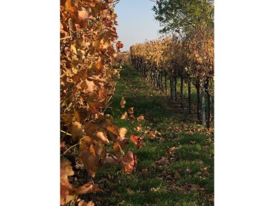 Apartment Appartement/Fewo, Dusche, WC, 1 Schlafraum - Outdoor photo 31