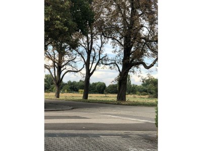 Apartment Appartement/Fewo, Dusche, WC, 1 Schlafraum - Features photo 38