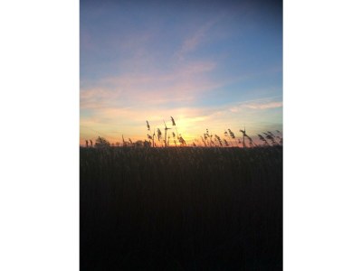 Holiday house Pilsumer Lohne Huus - Environment photo 34