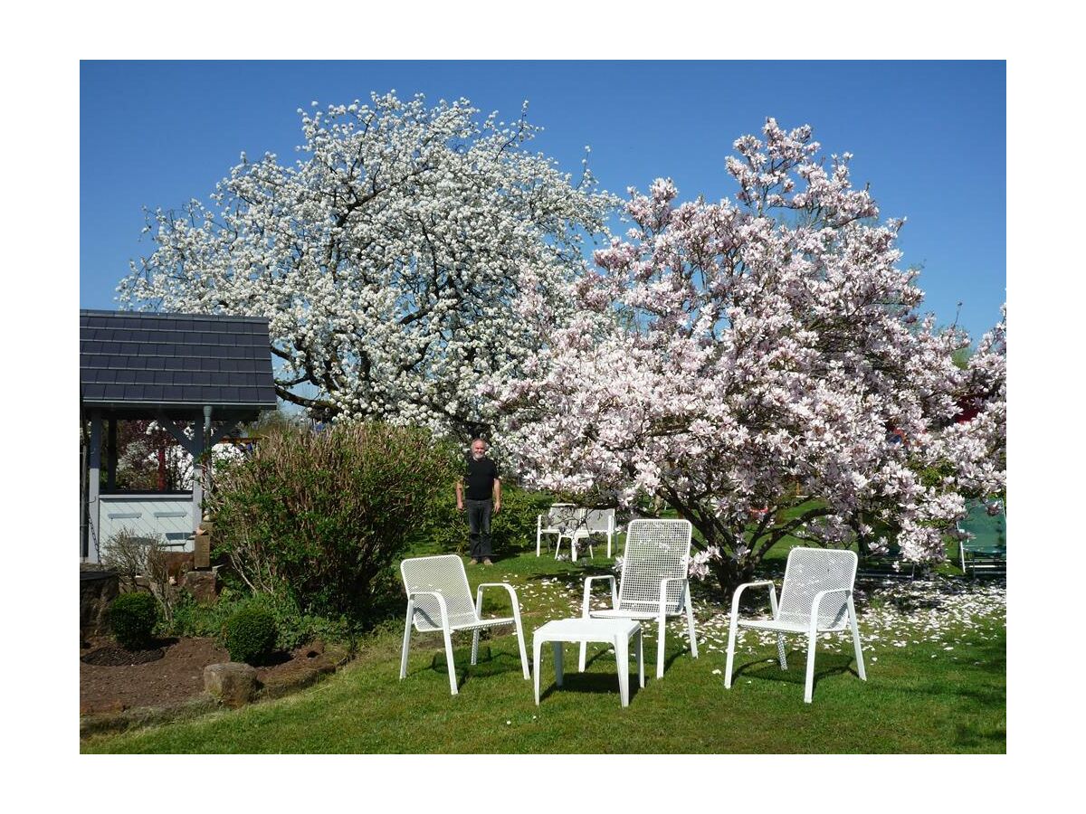 Apartment Wohnung 2 *** - Outdoor photo 4