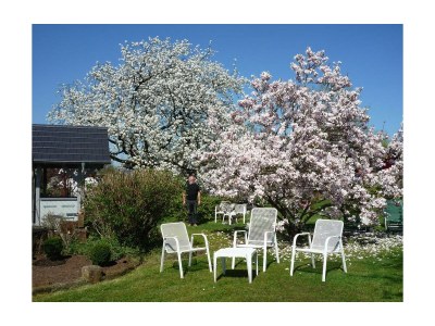 Apartment Wohnung 2 *** - Outdoor photo 4