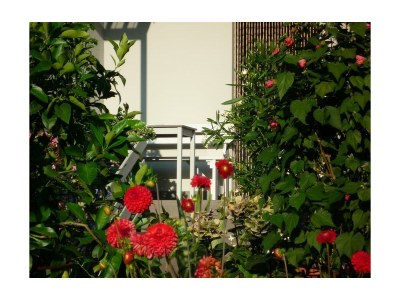 Apartment Wohnung 2 *** - Features photo 18