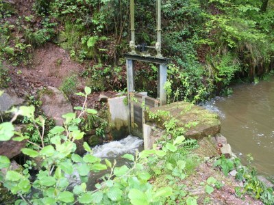 Apartment Gästehaus Herrenmühle - Outdoor photo 11