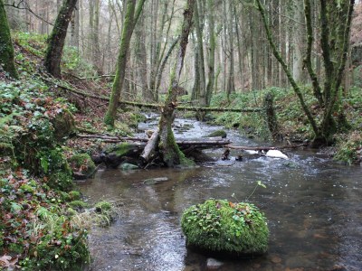 Apartment Gästehaus Herrenmühle - Outdoor photo 12