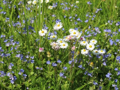 Apartment Gästehaus Herrenmühle - Outdoor photo 15