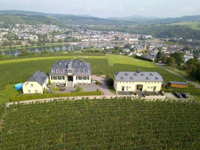 Apartment Appartement Bacchus und Neptun in Oberbillig - Apartment