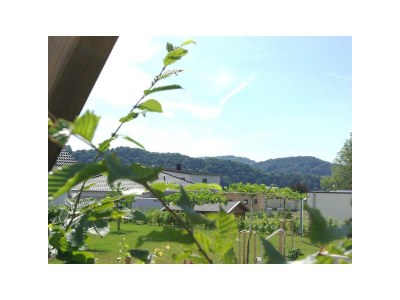 Apartment Ferienwohnung - Outdoor photo 15