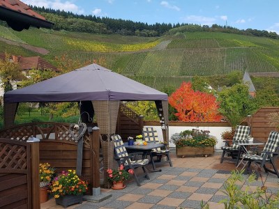 Apartment Ferienwohnung 1 - Outdoor photo 12