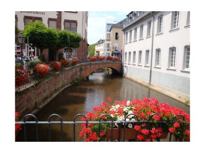 Apartment Ferienwohnung 1 - Outdoor photo 21